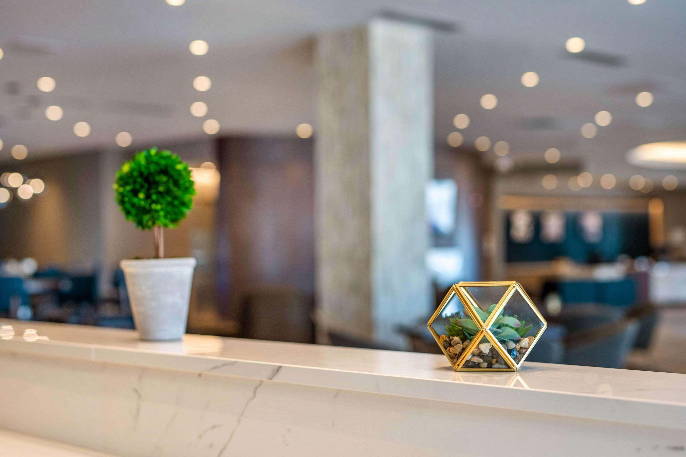 Cambria Hotel Bloomington Mall Of America Minneapolis Airport المظهر الخارجي الصورة