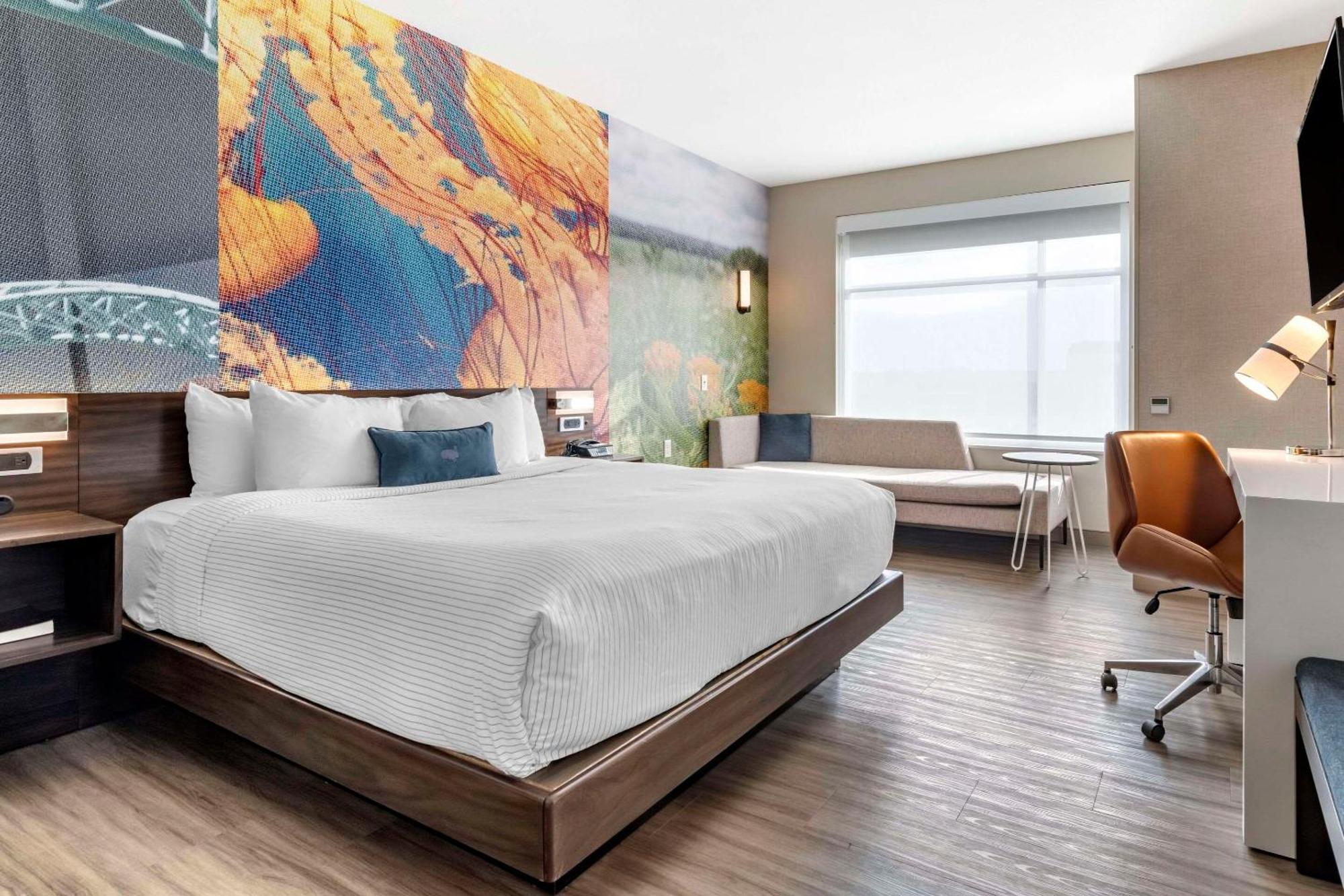 Cambria Hotel Bloomington Mall Of America Minneapolis Airport المظهر الخارجي الصورة